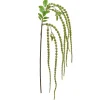 RAZ Amaranthus Spray