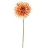 Direct Export Co. Apricot Shasta Daisy Stem