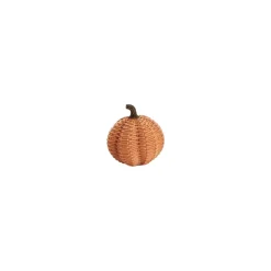 Two's Company Autumn Allure Basket Weave Pattern Pumpkin