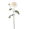 Winward Beige Dahlia Stem