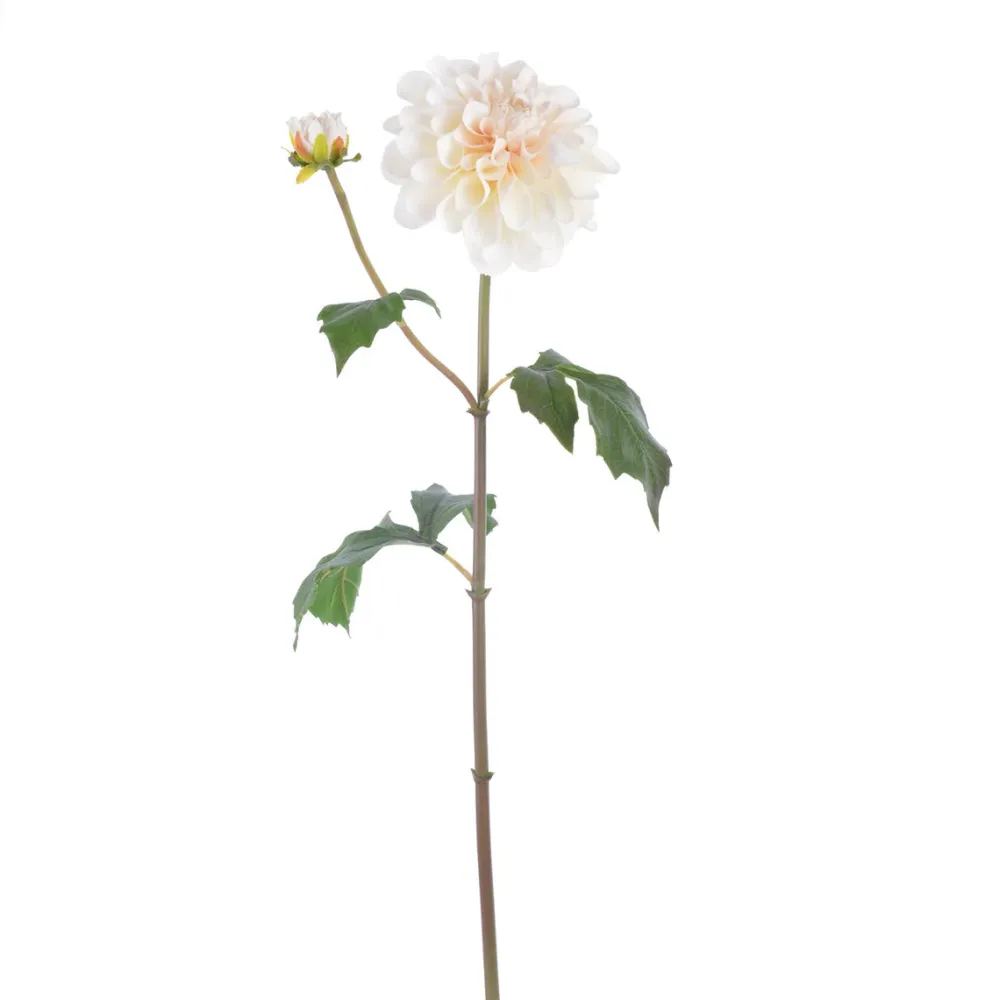 Winward Beige Dahlia Stem