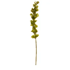 RAZ Bells of Ireland Stem