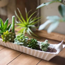 Creative Coop Bird Cracker Dish