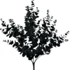 Liberty Floral Black Eucalyptus Bush