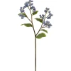 Winward Blueberry Stem