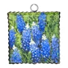 The Round Top Collection Bluebonnets Mini Gallery Art
