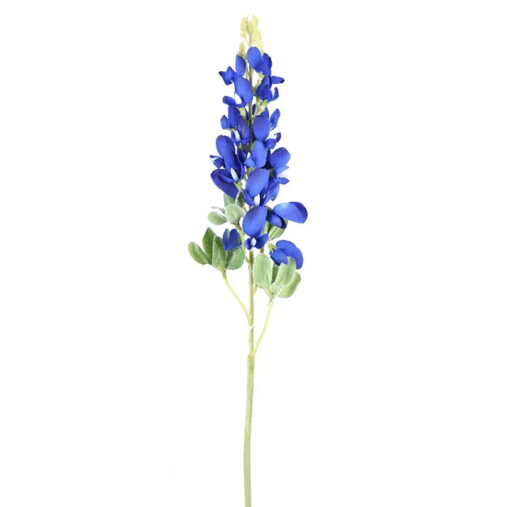 Direct Export Co. Blue Bonnet Stem