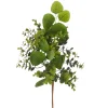 RAZ Boxwood and Eucalyptus Pick