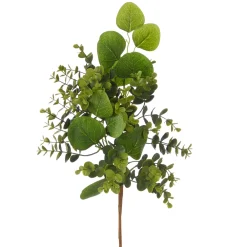 RAZ Boxwood and Eucalyptus Pick