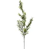 Direct Export Co. Boxwood Spray