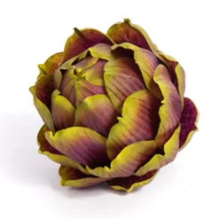 CRI Burgundy Artichoke, Small
