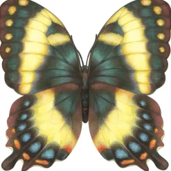 Hester & Cook Butterfly Placemat Set