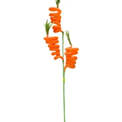 Liberty Floral Carrot Spring Spray