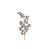 Regency Champagne Fern Spray