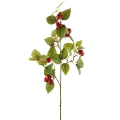 Direct Export Co. Cherries Spray