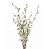 CRI Cherry Blossom, Cream