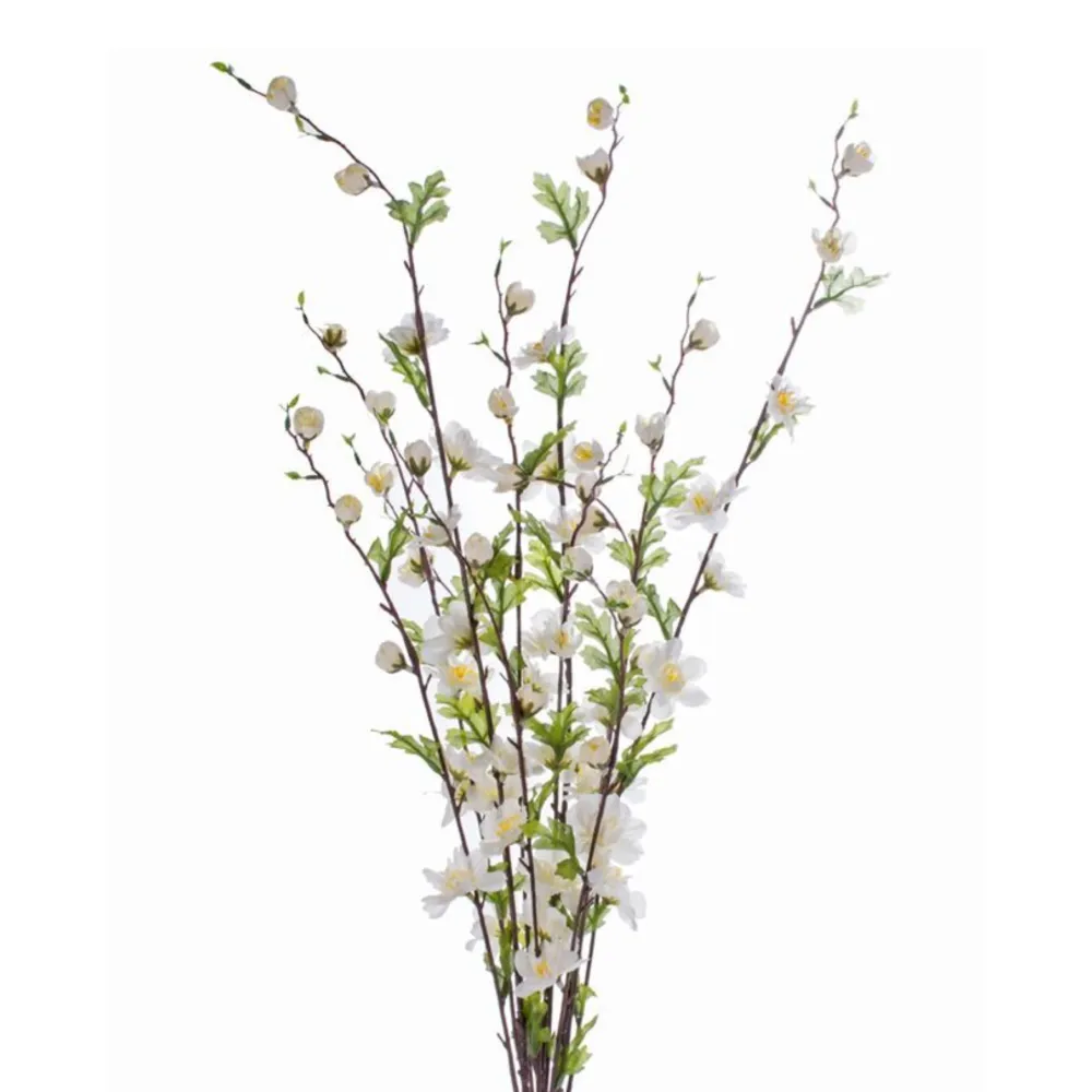 CRI Cherry Blossom, Cream