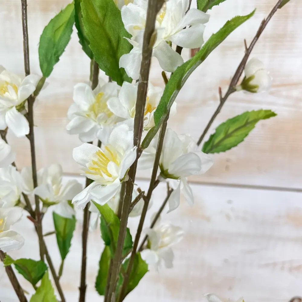 CRI Cherry Blossom, Cream