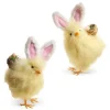 RAZ Chick with Bunny Ears