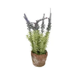 Regency Clay Pot with Herbs