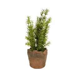 Regency Clay Pot with Herbs