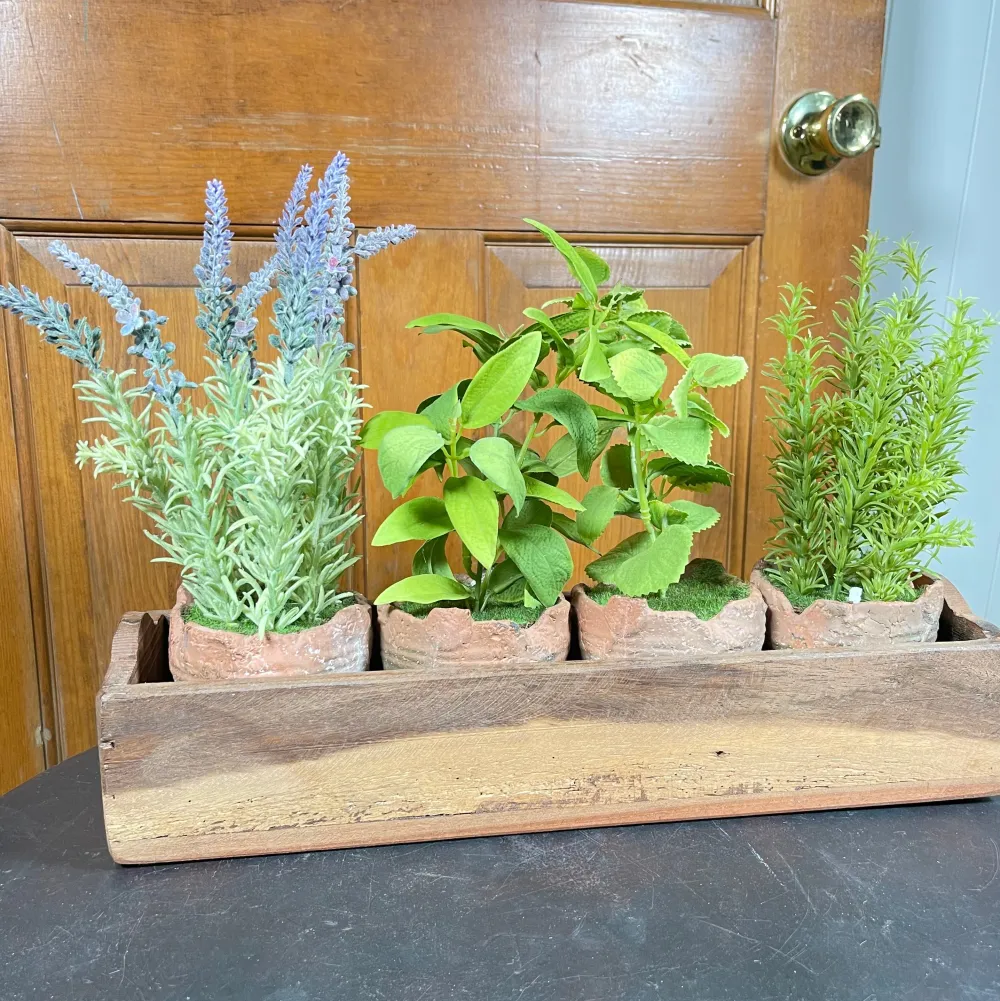 Regency Clay Pot with Herbs