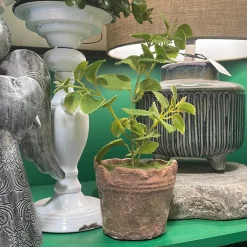 Regency Clay Pot with Herbs