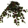 Direct Export Co. Coleus Hanging Bush
