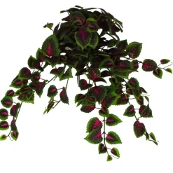 Direct Export Co. Coleus Hanging Bush