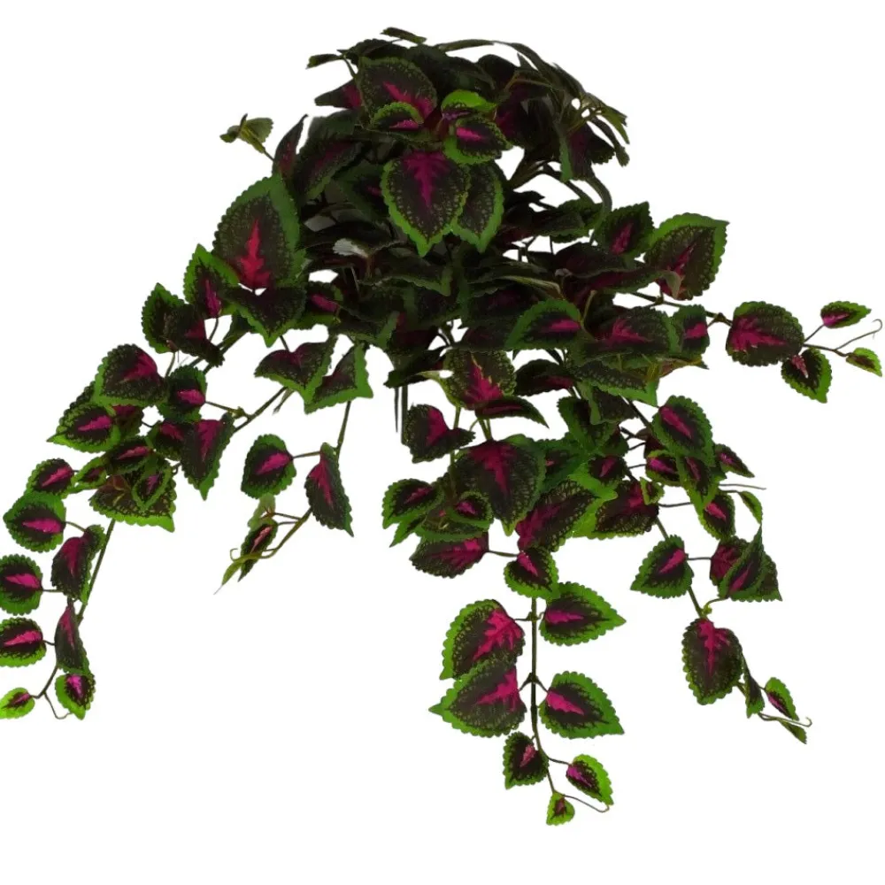 Direct Export Co. Coleus Hanging Bush
