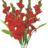 Liberty Floral Color Fast Gladiolus Bush