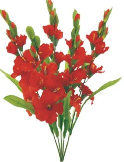 Liberty Floral Color Fast Gladiolus Bush