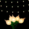 RAZ Connectable Matte Kismet String Light, 14'