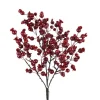 Direct Export Co. Cranberry Berry Bush