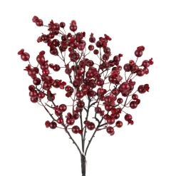 Direct Export Co. Cranberry Berry Bush
