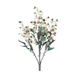 Direct Export Co. Cream Berry Bush