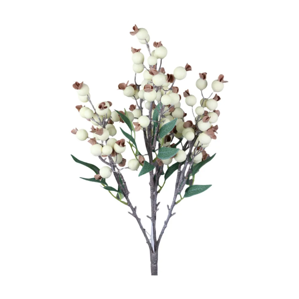 Direct Export Co. Cream Berry Bush