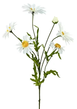 Liberty Floral Cream Daisy Bush