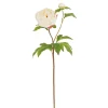 Winward Cream Peony Bud