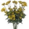 CRI Daisy Bundle
