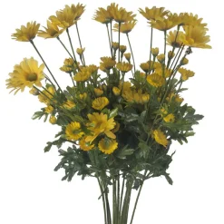 CRI Daisy Bundle
