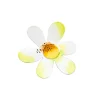The Round Top Collection Daisy Magnet