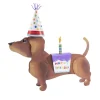 The Round Top Collection Dress Up Pet, Birthday Costume