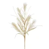RAZ Dried Grass Spray