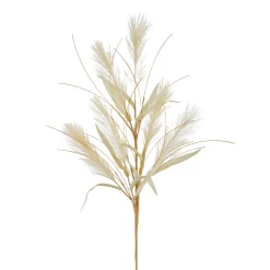 RAZ Dried Grass Spray
