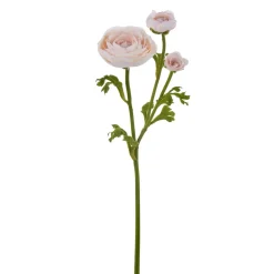 Winward Dusty Peach Ranunculus Spray, 22.5"