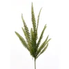 Direct Export Co. Enchanted Fern Spray