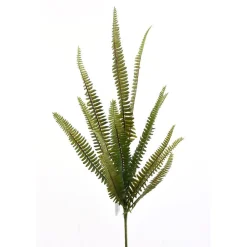 Direct Export Co. Enchanted Fern Spray
