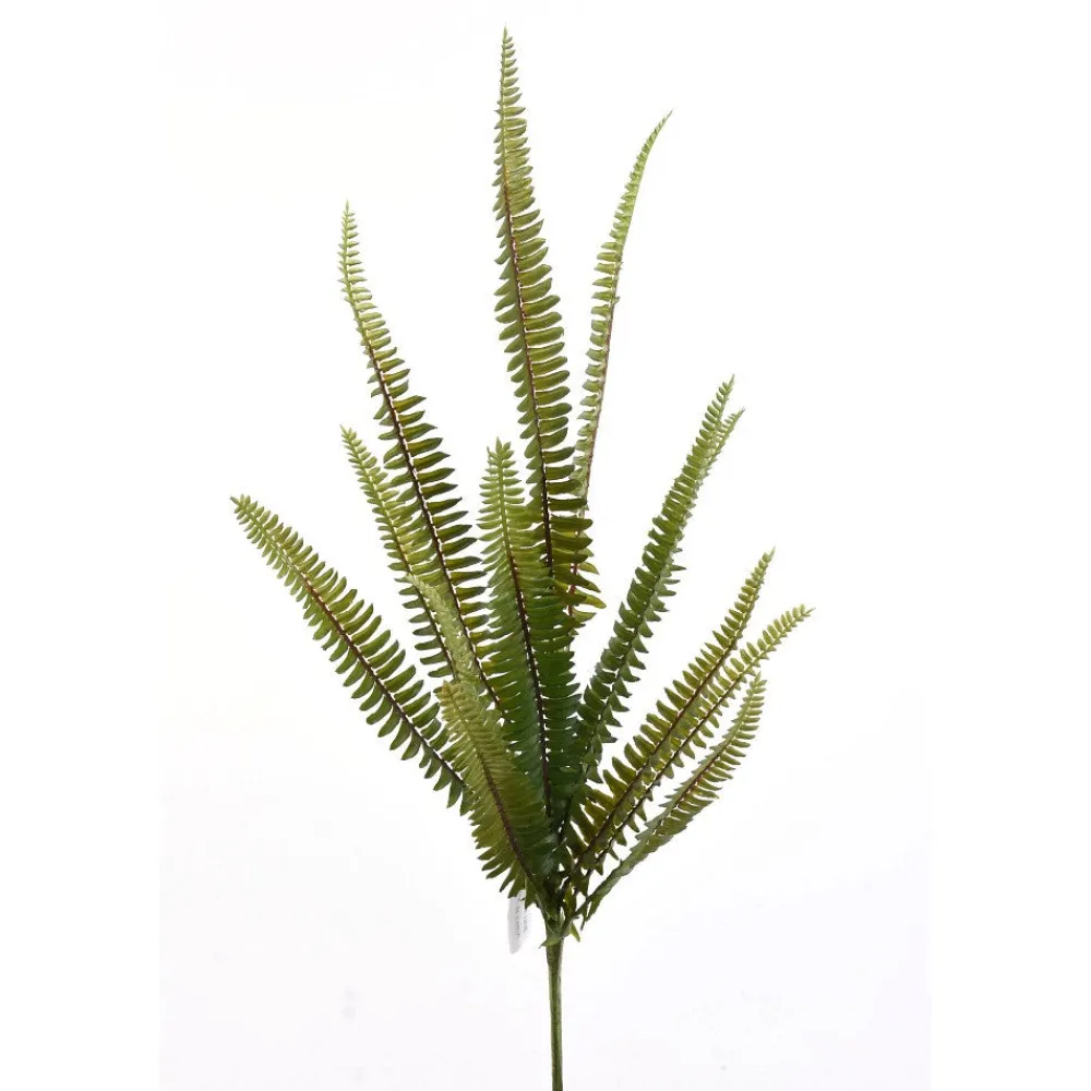 Direct Export Co. Enchanted Fern Spray