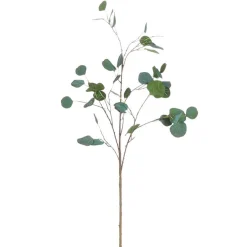 RAZ Eucalyptus Airy Spray